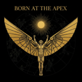 Born at the Apex — Programma Calisthenics Avanzato eVolve